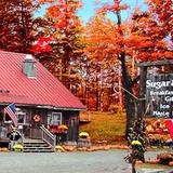 Maple Sugar & Vermont Spice