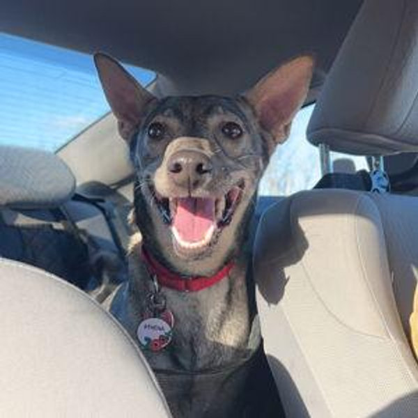 Athena's Treat Fund