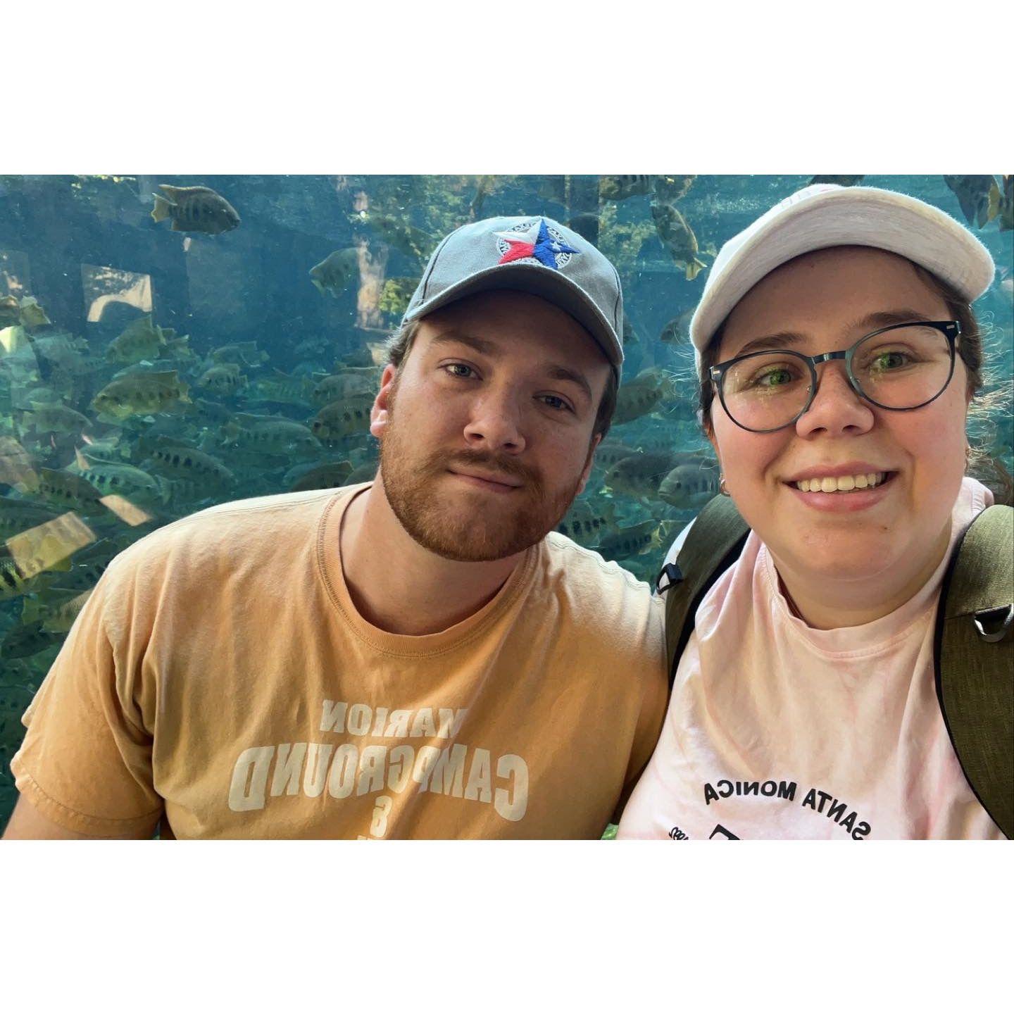 At the St. Louis zoo