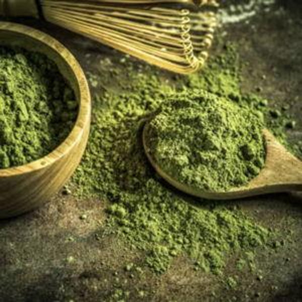 Matcha Fund