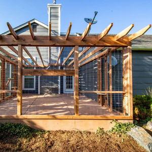 Catio Fund