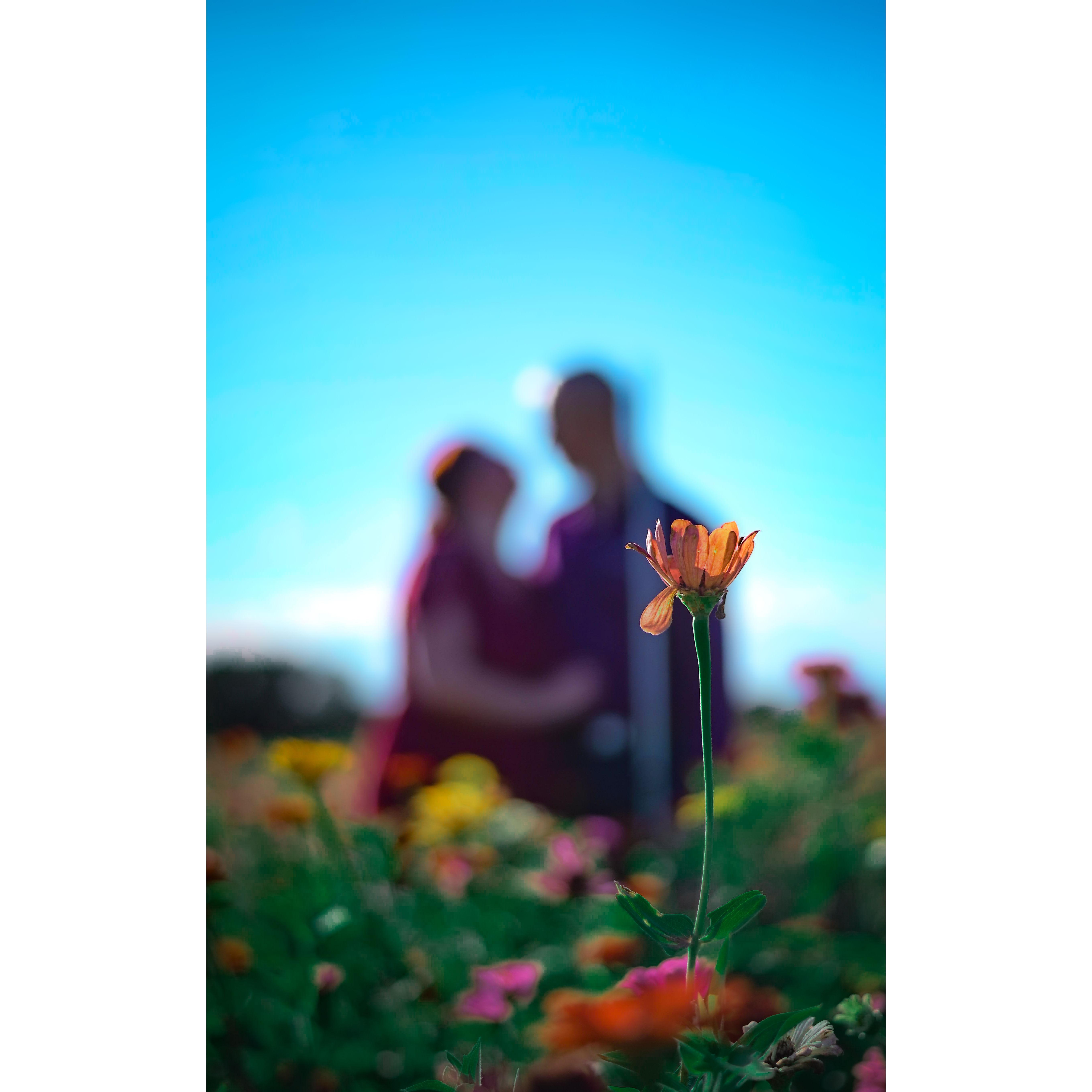 #EngagementShoot - @Center Grove Orchard - @Dutchmans Photography