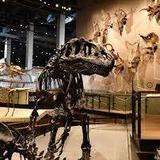 Natural History Museum of Utah