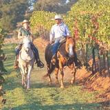 Guided Horseback Tour