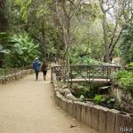 Fern Dell Nature Trail