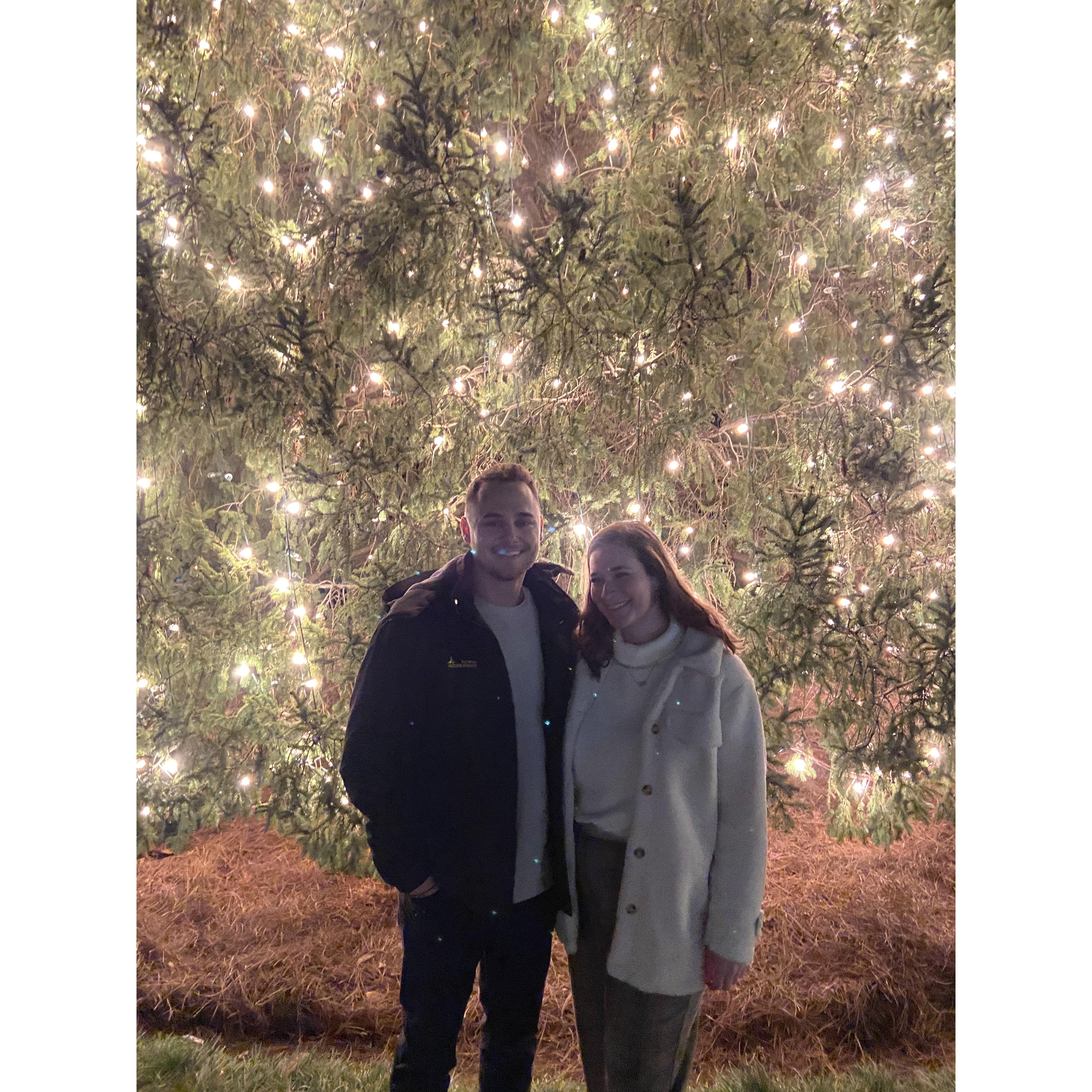 Christmas lights date night!