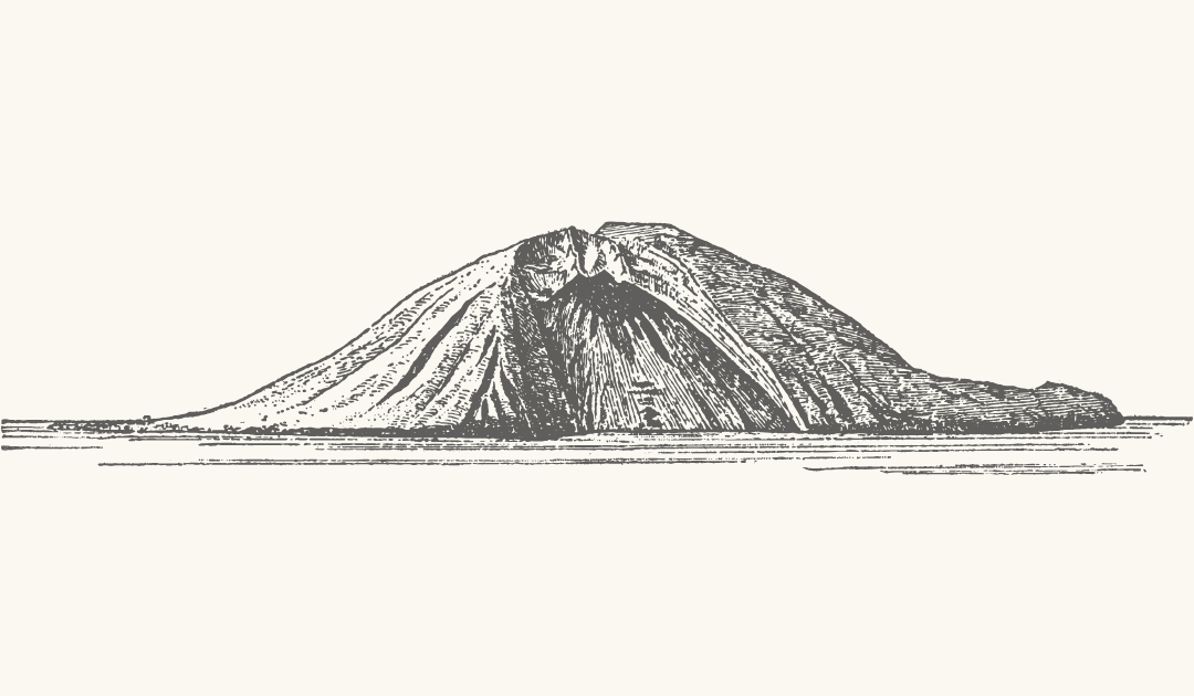 Footer image
