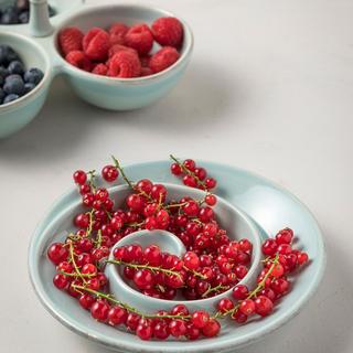 Cook & Host Spiral Appetizer Dish