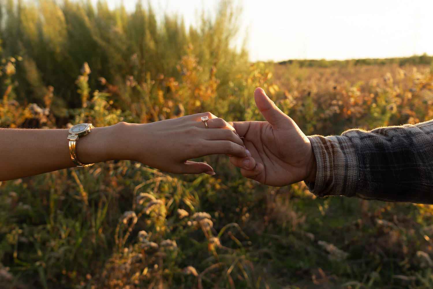 The Wedding Website of Isabella Sanchez and Jackson Palmer