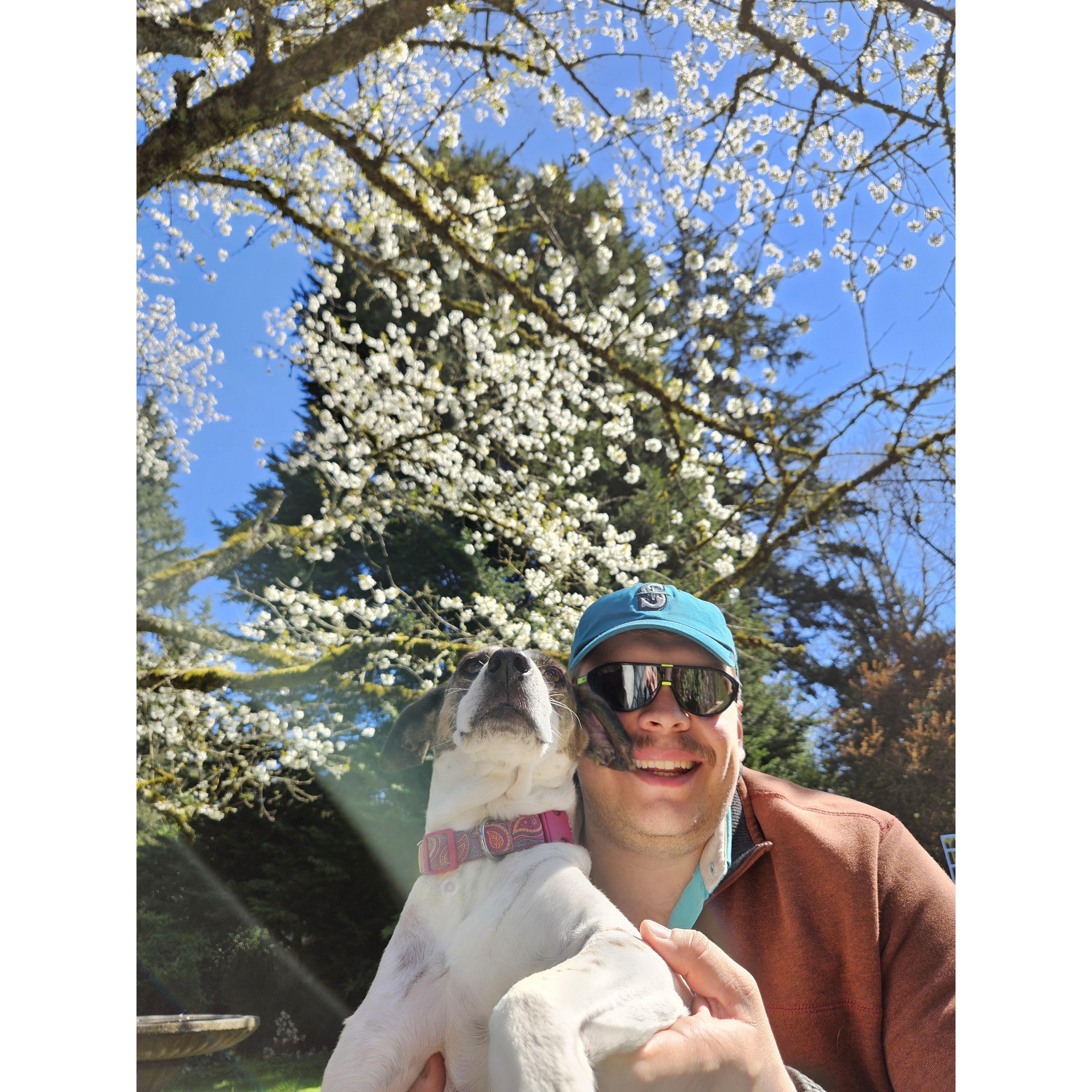 Cherry trees, Darian, and Pinta