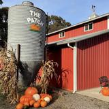 The Patch