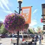 Bozeman