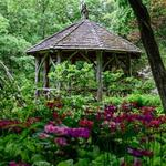 Leonard J Buck Garden