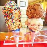 Purity Ice Cream Co.