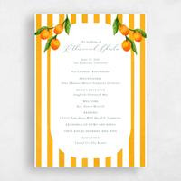 Orange Wedding Program - Tropea