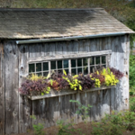 Berkshire Botanical Garden