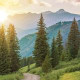 Hiking & Biking