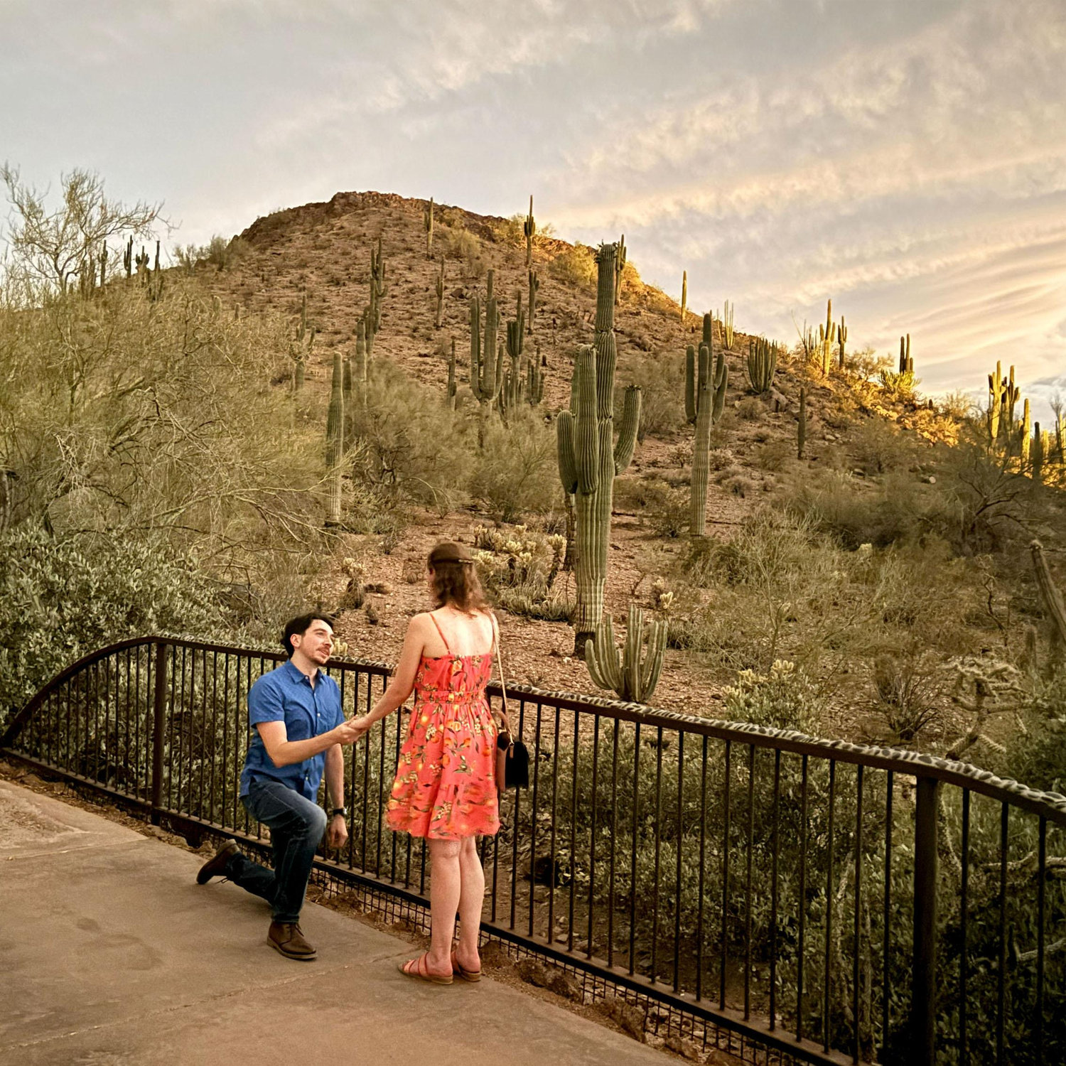We are so excited to get married at the Desert Botanical Garden which is where Curt proposed!