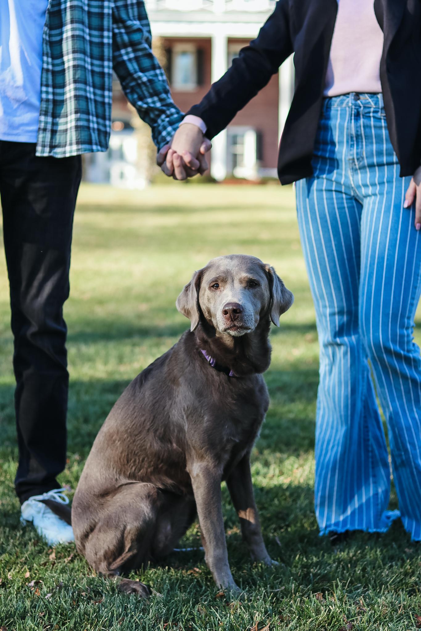 The Wedding Website of Kassidy Schroeder and Justin Bourque