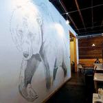 Silver Grizzly Espresso