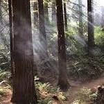Hoyt Arboretum