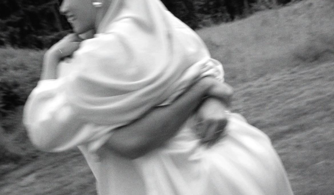 The Wedding Website of hana mahmoud and nasredene elyamani