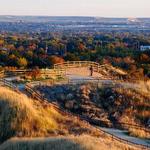 Camel's Back Park