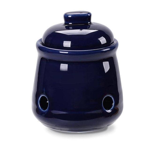 HAOTOP Ceramic Garlic Keeper with Lid, Mini Garlic Saver Container for Countertop, Kitchen Decor (Navy)
