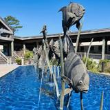 North Carolina Aquarium at Pine Knoll Shores