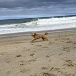 Cape Cod Beaches