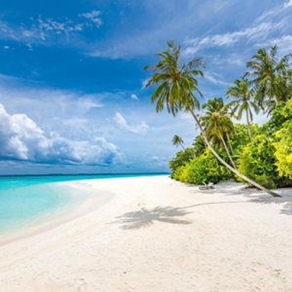 Honeymoon Fund