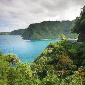 Honeymoon in Maui