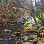 Harriman State Park