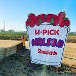Carlsbad Strawberry Company