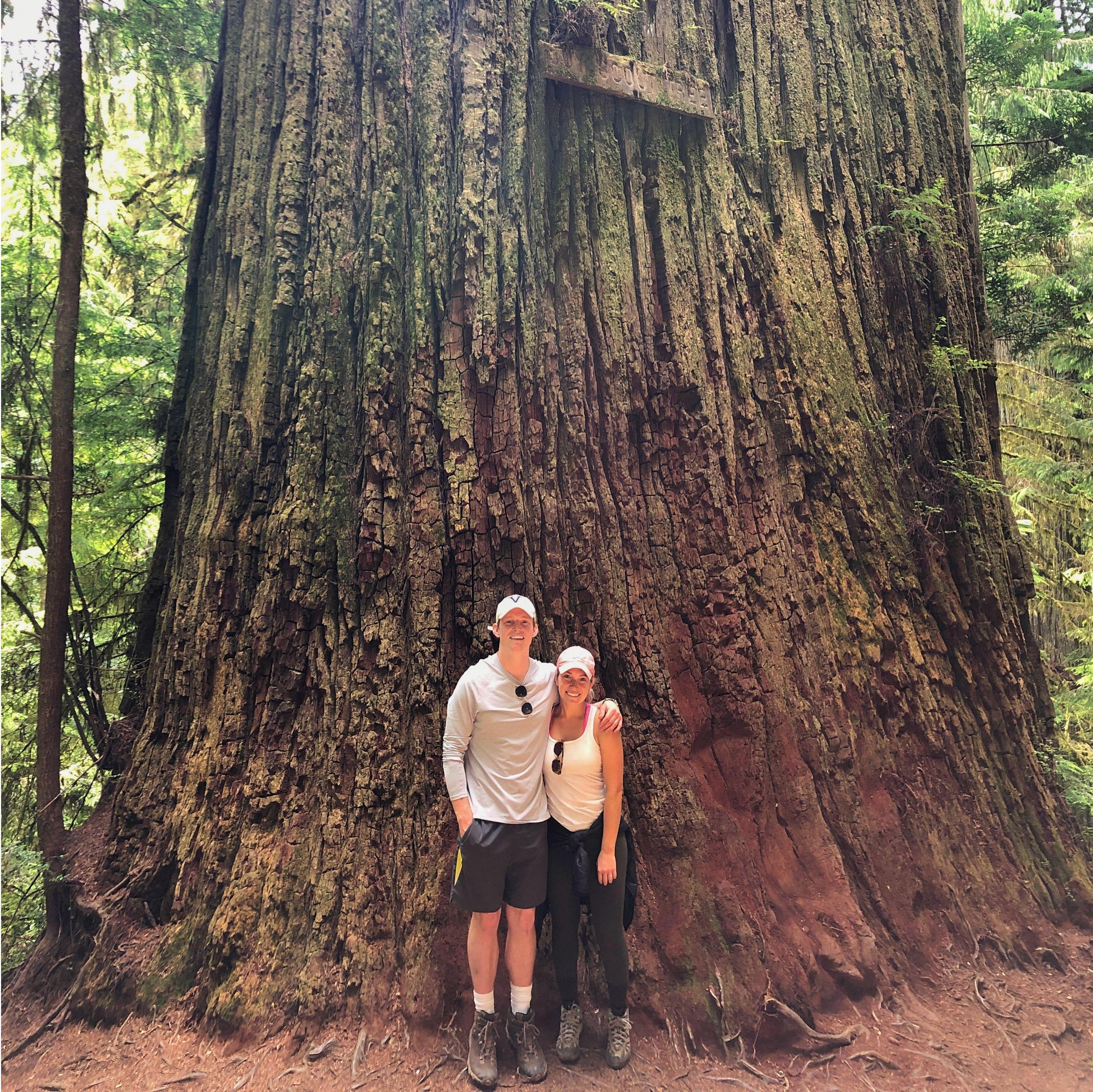 Jedediah Smith Redwoods 2021