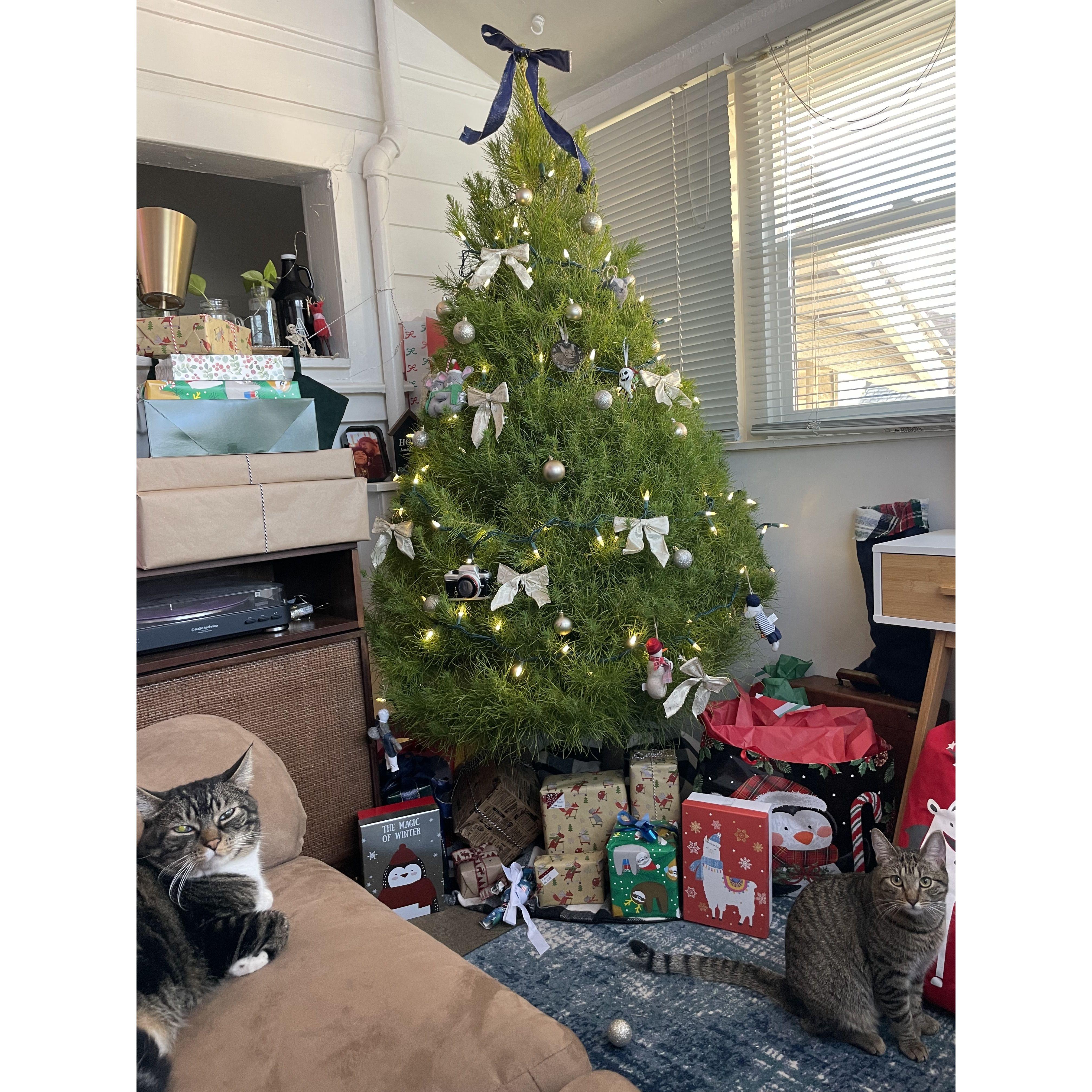Our second Christmas tree in our first apartment together with our cats