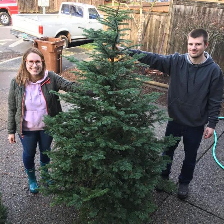 Our first Christmas tree.