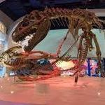 Fort Worth Museum of Science and History