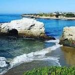 Natural Bridges State Beach