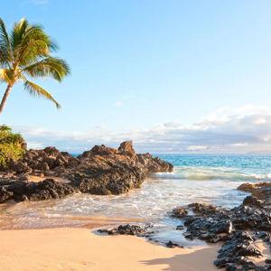 Honeymoon fund - Hawaii