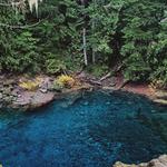 Tamolitch Falls (Blue Pool)