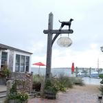 The Black Dog Tavern