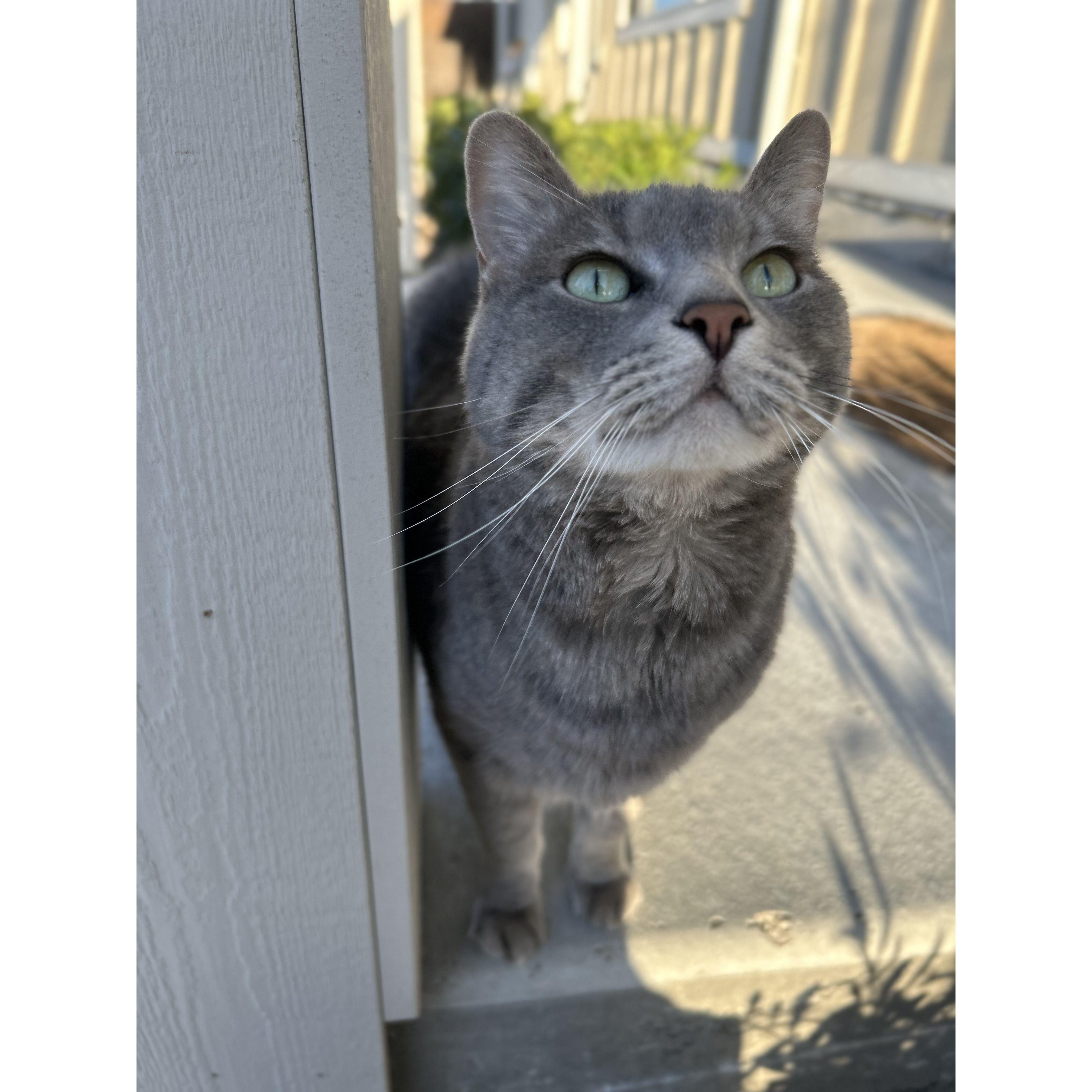 May 2019
We moved in together and adopted Smokey.