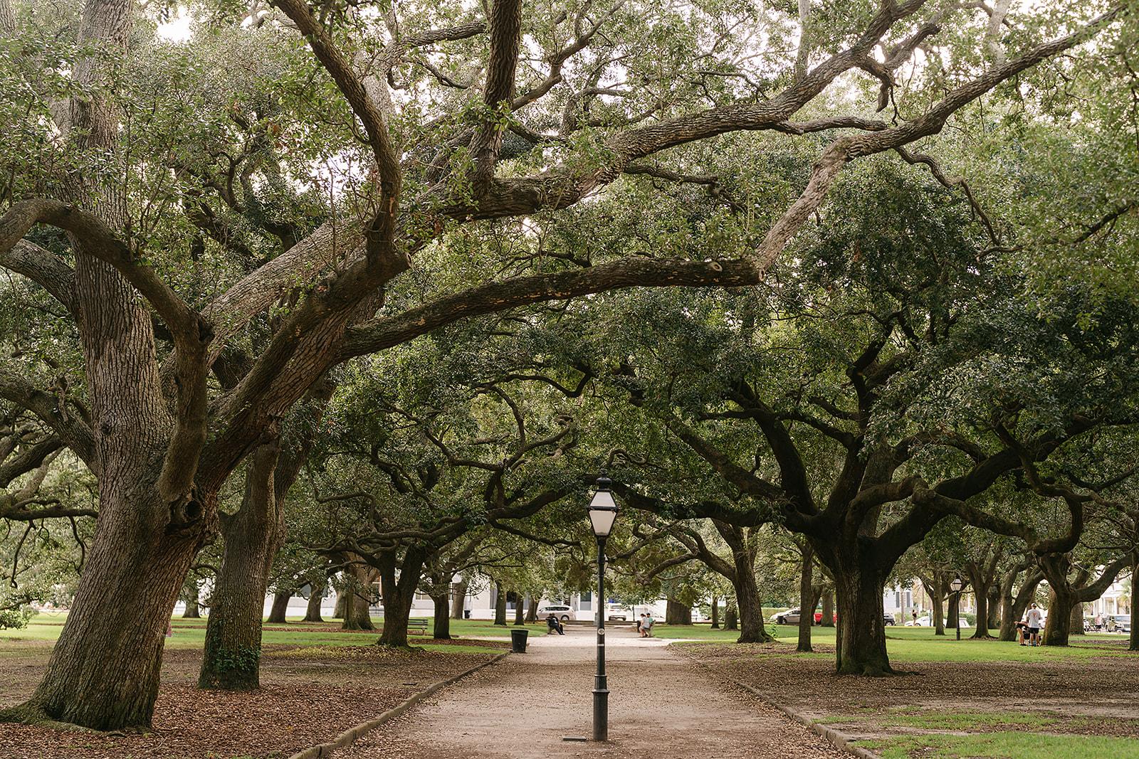 The Wedding Website of Sarah McBride and Josue Cantu