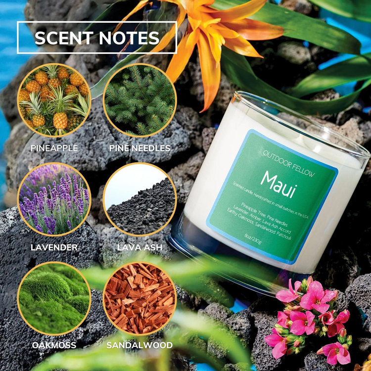 No.762 アロマストーン✩.*˚シェルツリー＆スターフィッシュ Outdoor Fellow, Maui Scented Candle | Zola