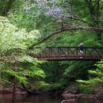 Big Thicket National Preserve