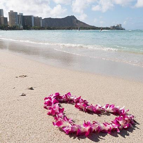 🍯🌝Two plane tickets from Israel to Hawaii~ ✈️ Aloha here we go🤍