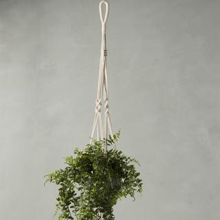 Mirabelle Plant Holder