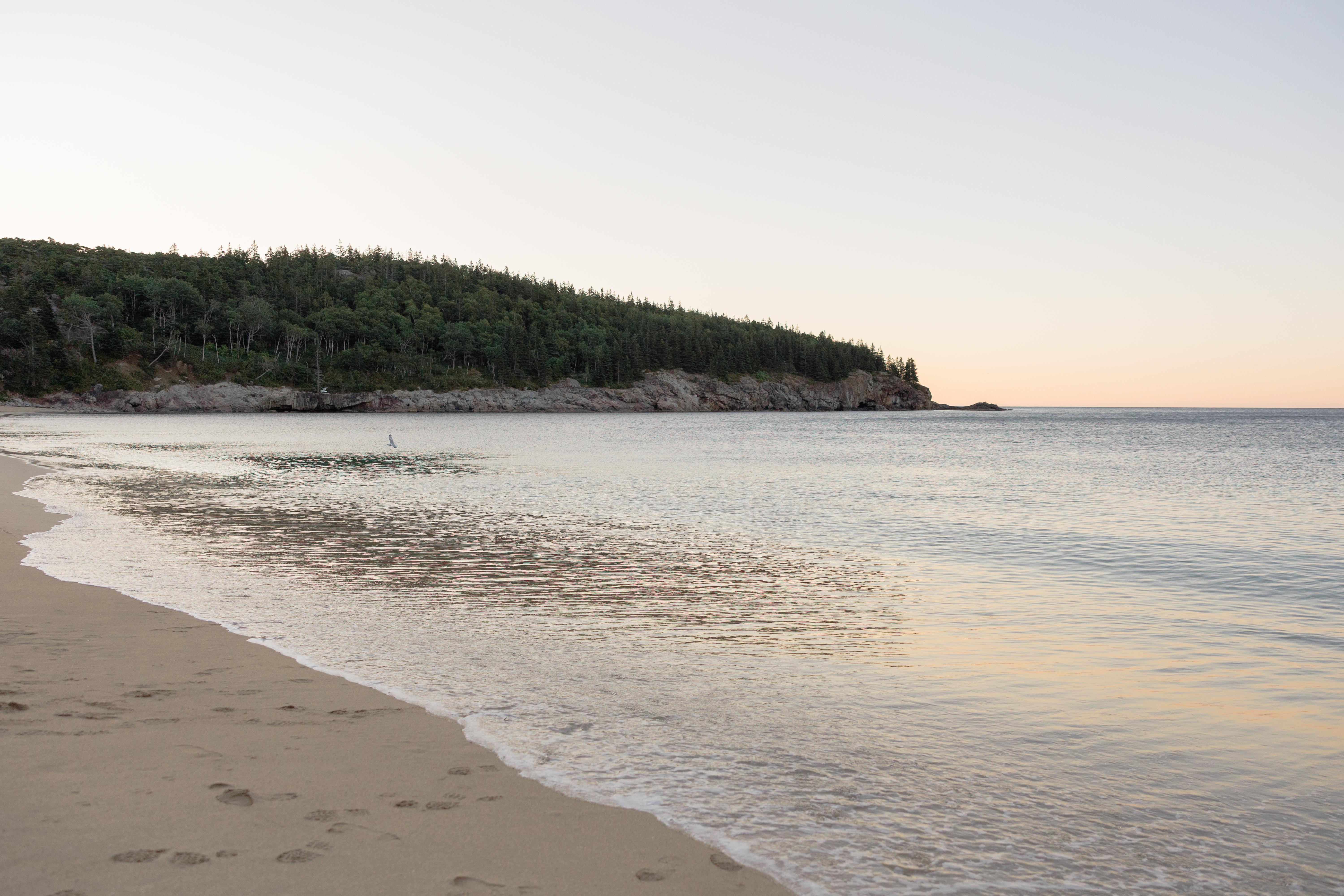 The Wedding Website of Sydney Brown and Matthew Schultz