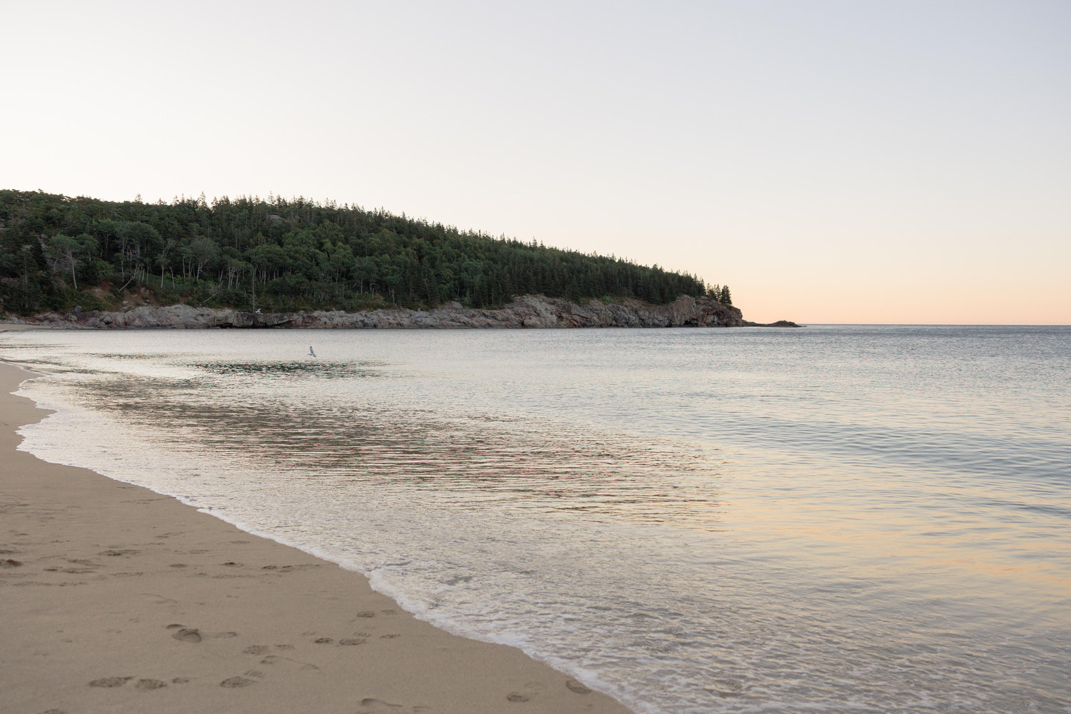 The Wedding Website of Sydney Brown and Matthew Schultz